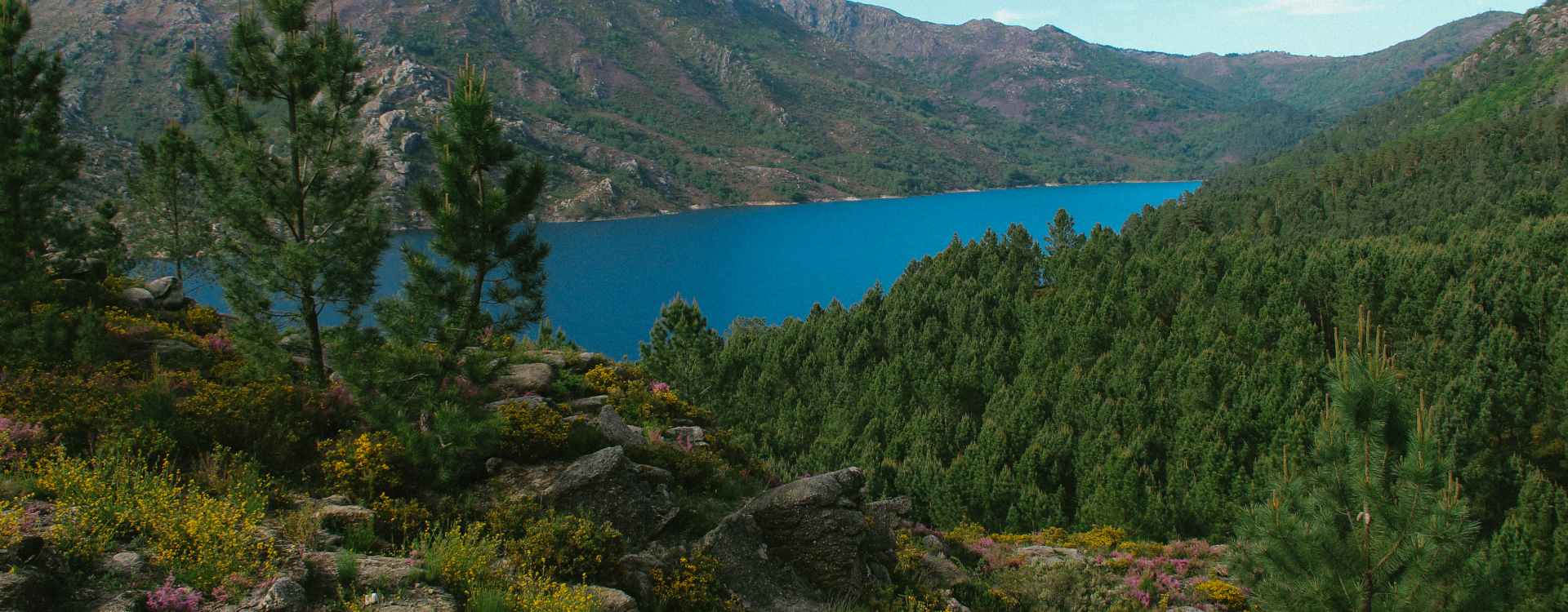 Descubra quais são as melhores caminhadas a fazer no Gerês